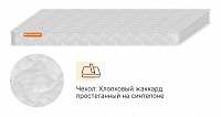 Зебра